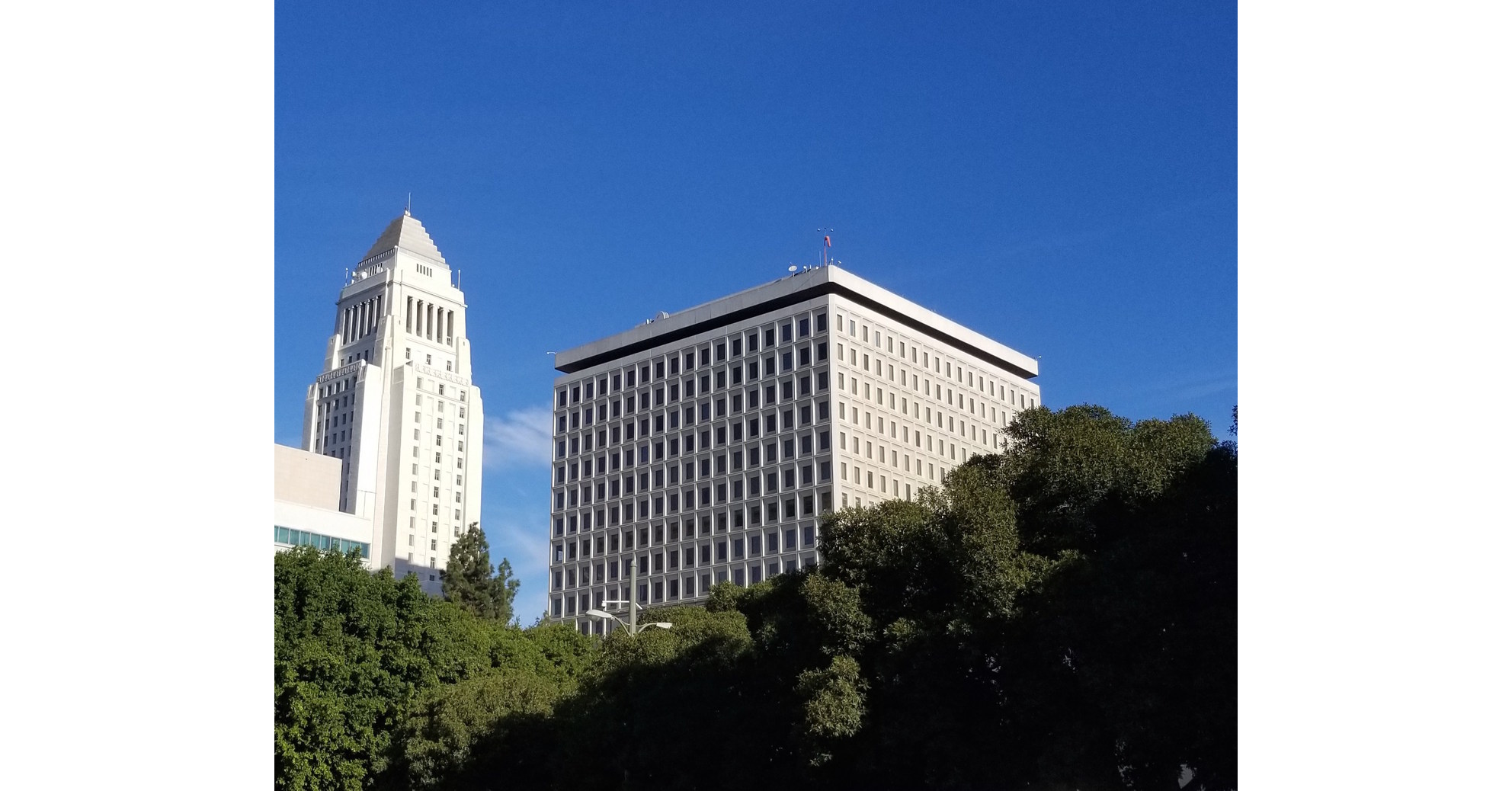 Scottsdale Firm Saves Millions of Gallons of Water, Setting New