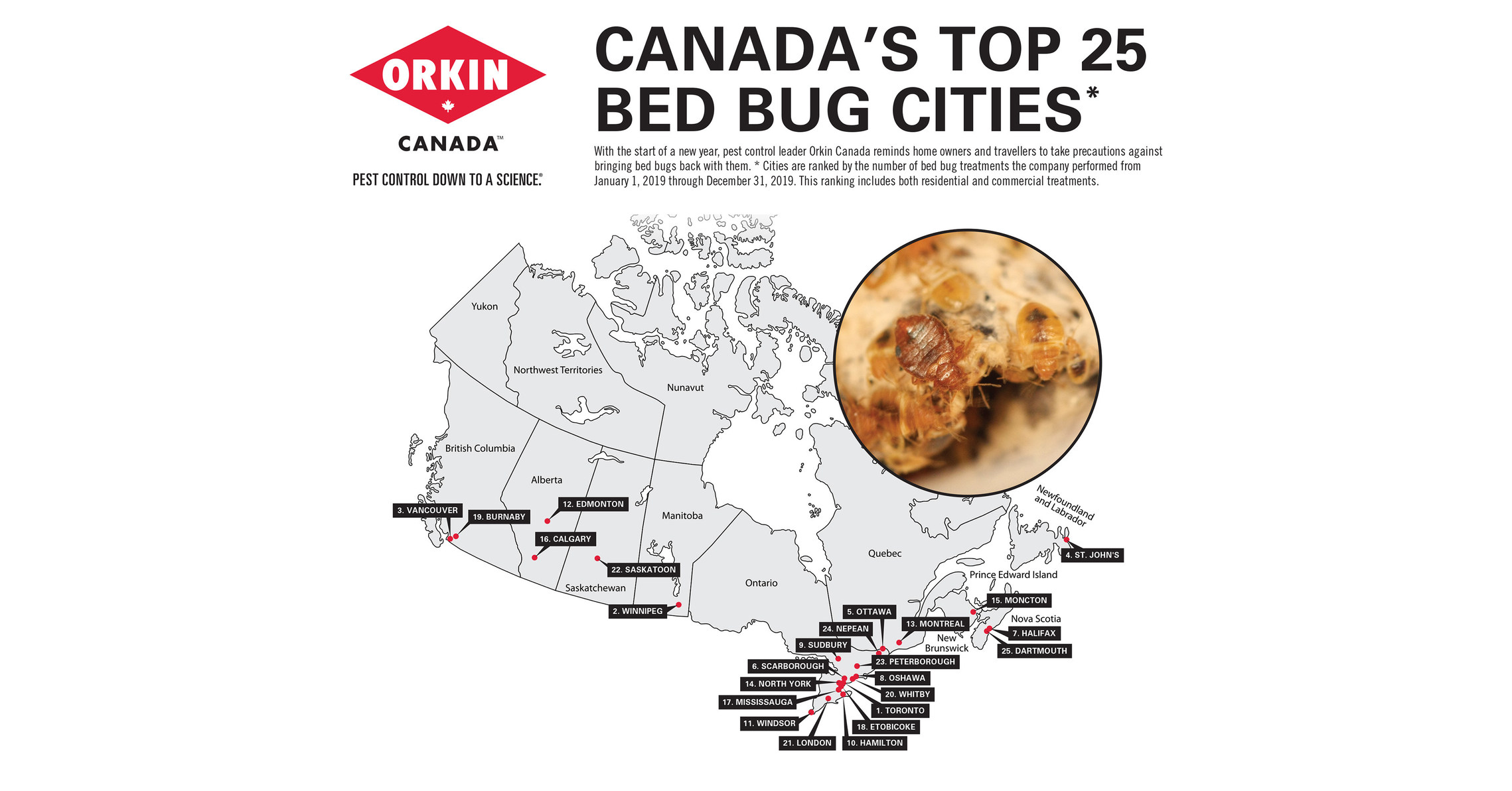 New Year, new stats Orkin Canada releases its list of top bed bug
