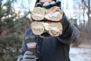 Bruegger's Celebrates National Bagel Day On Jan. 15 With A Free Bagel With Cream Cheese