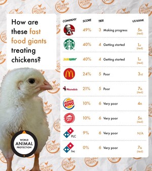 Fast-Food Brands' Chicken Welfare Standards Shockingly Low In New Global Ranking
