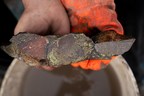 Crystal Lake Cuts 22 metres of 2.00% Copper, 2.27 g/t Gold, 34.36 g/t Silver, and 4.69% Zinc on Surface at its Newmont Lake Project in BC; Discovers Possible High-Grade Source of Multi-Element