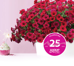 Wave® Petunias Celebrates 25 Years of Easy Spreading Color for Home Gardeners