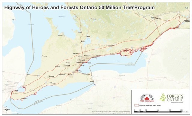Map of Highway of Heroes planting corridor. (CNW Group/Forests Ontario)