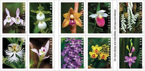 U.S. Postal Service to Issue Wild Orchids Forever Stamp Feb. 21