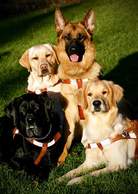The Seeing Eye dog has been officially designated the state dog of New Jersey. The non-profit breeds, raises and trains German shepherds, Labrador retrievers, golden retrievers and Lab/golden retriever crosses. Seeing Eye dogs have been enhancing the independence of people who are blind and visually impaired for more than 90 years.