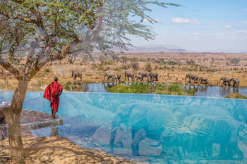 Using double exposure, Ruel merges distinct subjects to create unique perspectives. (Nicolas Ruel, Serengeti 32).