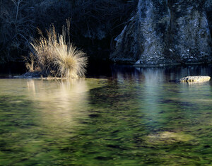 New Conservation Area in Texas Boasts Hundreds of Natural Springs