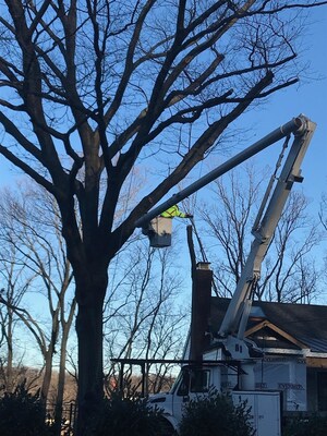 Local Tree Service Contractor Keeps Long Island Residents Safe During the Harsh Winter Months