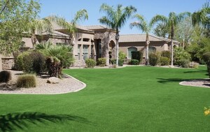 Vibrant Artificial Grass Transforms Phoenix Home