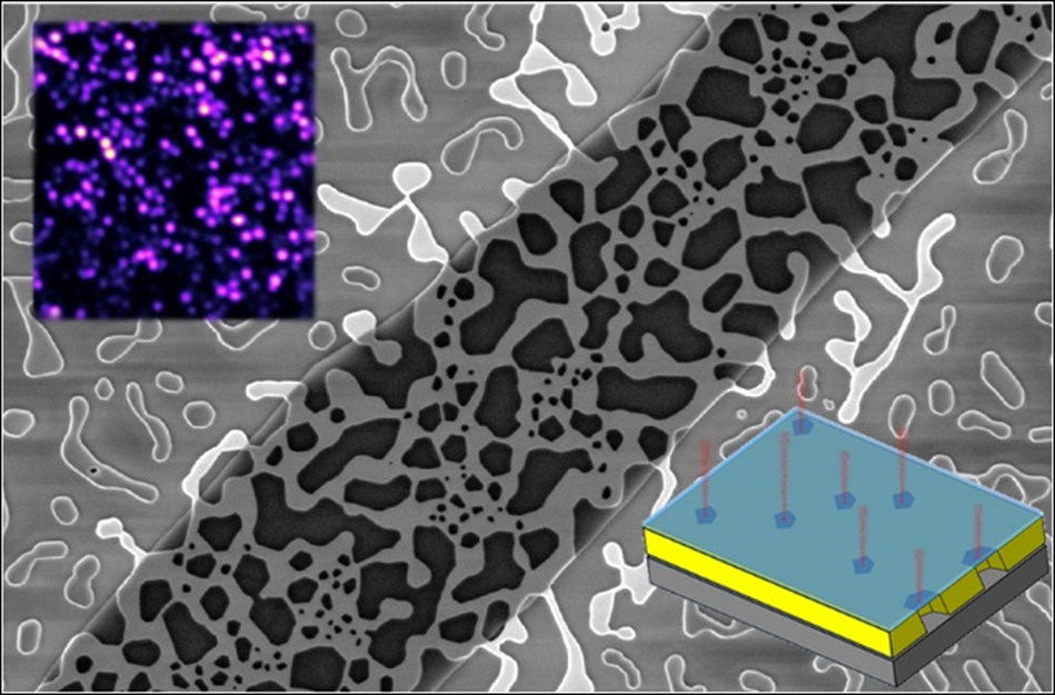 Suspended two-dimensional crystals over pores in a slab of gold (center image) allow NRL scientists to connect quantum light sources (inset images) in a ready-made network (Graphic credit:  Jeremy Robinson/U.S. Naval Research Laboratory)
