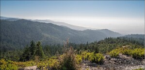 Save the Redwoods League Launches Public Phase of $120 Million Forever Forest Campaign with $80 Million Raised