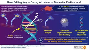DNA "Scissors" Could Cut Out the Alzheimer's Causing Gene in Mice