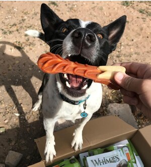 Fido's Bad Breath Means Something More: WHIMZEES All-Natural Daily Dental Chews for Dogs Reminds Pet Parents Why It's Important to Prioritize Oral Health