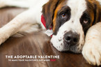 Coors Light Wants to Make a Canine Your Valentine This Year
