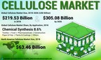 Cellulose Market Size to Reach USD 305.08 Billion by 2026; Applications in Paper Industry Will Have a Direct Impact on Market Growth, says Fortune Business Insights™