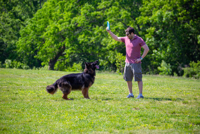 "Noah Davidsohn, CTO of Rejuvenate Bio and former Wyss Institute Research Scientist, was inspired by his German Shepherd, Bear, to develop a gene therapy that can help dogs live healthier lives. Credit: Wyss Institute at Harvard University"