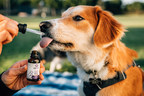 Medterra CBD Positioned as a Leader in Pet Care Through New Partnerships