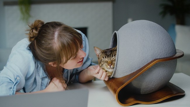 No More Hide And Seek With Your Cat Catsole Creates A Space For