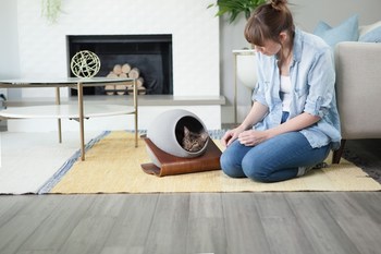 CATSOLE blends in with all kinds of home décor, making pet products a pleasure to the eye (Source: Elm Alley Pets)