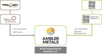 Current ownership structure of Ambler Metals (CNW Group/Trilogy Metals Inc.)