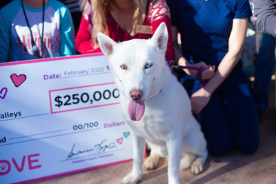 In celebration of Valentine's Day, the Petco Foundation traveled the country delivering love to shelter pets and the people who care for them.