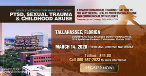 Training Workshops for Therapists Who Treat PTSD and Childhood Abuse Offered by the Institute for Rapid Resolution Therapy in West Palm Beach and Tallahassee