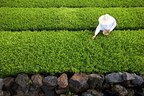 Amorepacific Group opens Green Tea Probiotics Research Center