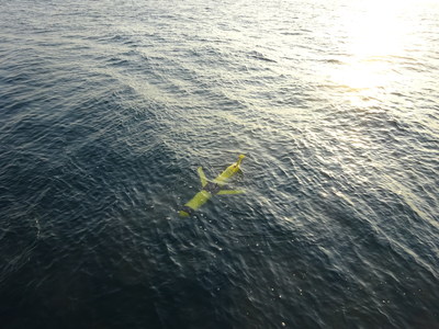Ocean gliders are one of the Navy's many tools for collecting data on the internal structure of the ocean for assimilation into ocean models. Gliders surface periodically to transmit data via satellite and are capable of collecting numerous types of data, including currents, temperature, salinity, pressure, and optics. (U.S. Naval Research Laboratory)