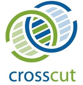 CrossCut Partners, LLC is Officially Certified as a Women-Owned Business