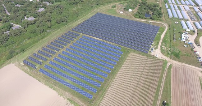 The completed Phase 2 of Bartlett's Farm's solar installation makes it the largest one on Nantucket.