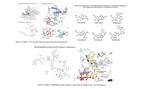 StoneWise AI-driven Drug Discovery Platform: Investigation and Repurpose of Nucleoside-based RNA Polymerase Inhibitors and Their Potential Use in COVID-19 Infection Treatment