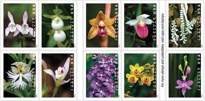 Wild Orchids stamps unveiled by the Postal Service. Part of the largest family of plants on Earth, orchids grow in many climates and thrive under a variety of conditions.