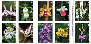 U.S. Postal Service Issues Wild Orchids Stamps