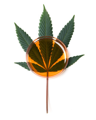 Treehouse is the leading provider of hemp-derived extracts. Photo by Treehouse.