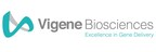 Vigene Strengthens Management Team with Another Key Executive Addition as Business Expansion Continues