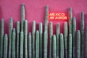 TANE crea uno de los hot spots más instagrameables de México: "MÉXICO MI AMOR"