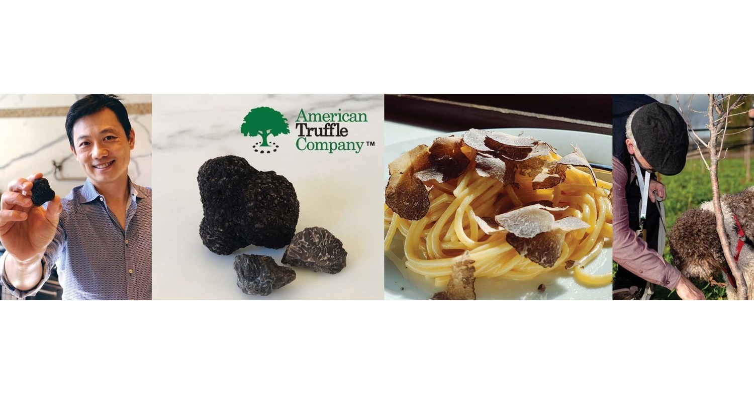 First Burgundy Truffle Harvest In California