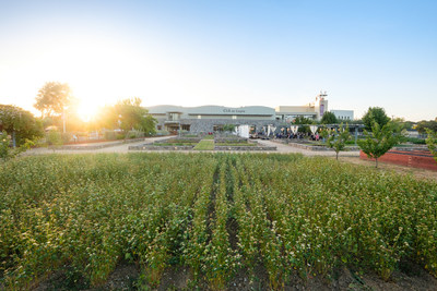 The Culinary Institute of America at Copia | Photo Courtesy of Bob McClenahan Photography