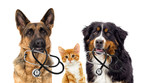 Nutri-Vet® Named Exclusive Pet Wellness Sponsor of Fetch by WebMD