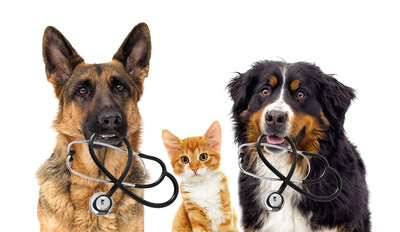 Trusted Online Resource WebMD Launches Pet Health Channel &ndash; Fetch by WebMD &ndash; with Nutri-Vet as the Exclusive Pet Wellness Sponsor