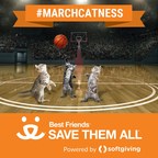Best Friends Animal Society and Softgiving partner to raise $250,000 for animal welfare during month-long, #MarchCatness charity streaming event