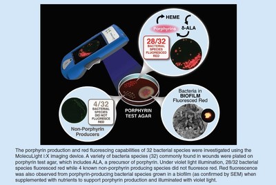 First Published Study to Report In Vitro Detection of Fluorescence from Bacteria in Biofilm with MolecuLight i:X Point-of-care Wound Imaging Device (CNW Group/MolecuLight)