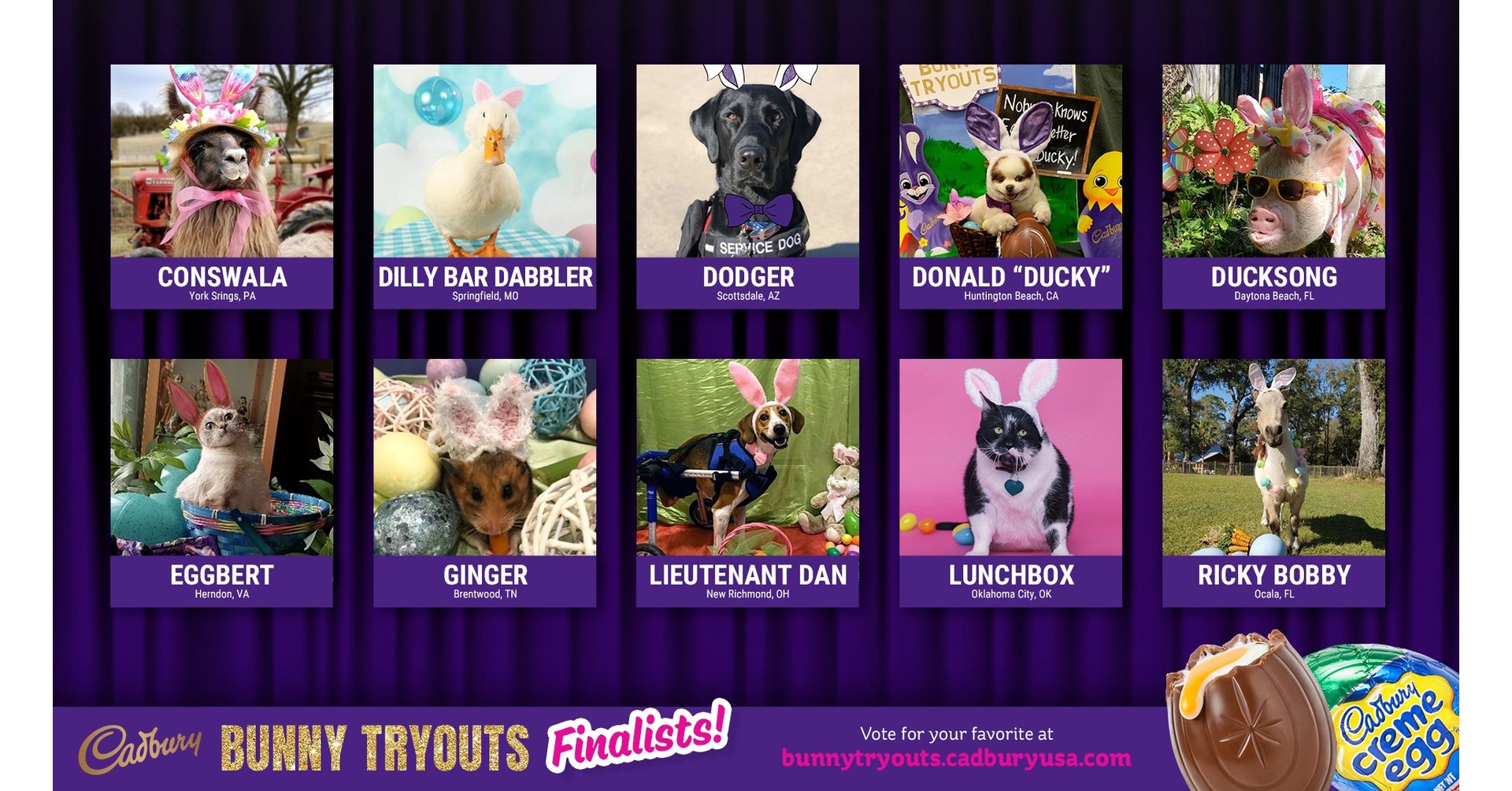 Cadbury Brand Announces Finalists In This Year's "Bunny Tryouts"