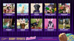 Cadbury Brand Announces Finalists In This Year's "Bunny Tryouts"