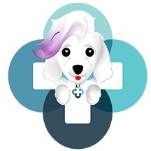 Soafee.com, a Game Changer for American Healthcare
