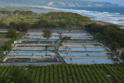 Pebble Labs and Virbac signed a comprehensive commercial agreement for aquaculture disease prevention. The companies will focus on validating and commercializing a solution for White Spot Syndrome Virus in farmed shrimp, a disease that can cause 50% crop loss.