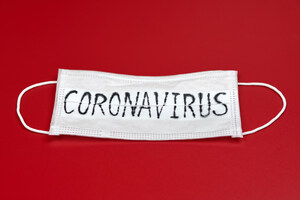 Coronavirus Response Illustrates Validity of Key MMT Insights