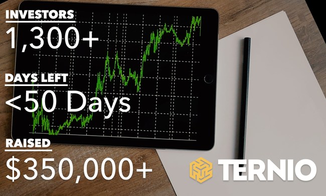 Ternio investment metrics