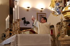 Looking For Mass And Adoration? EWTN Is There For You