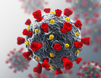 Coronavirus Pandemic Solutions Sought by Government